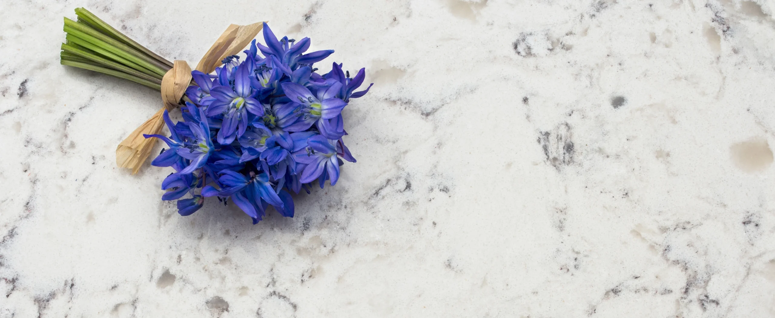 Quartz | Espace Granite & Cie